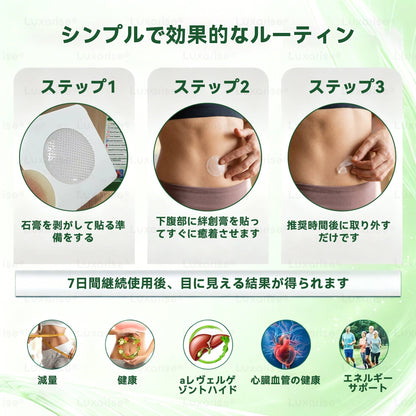🌝公式ストア | 𝑳𝒖𝒙𝒂𝒓𝒊𝒔𝒆® モリンガ＆ベルベリン 10-IN-1 高機能ナノマイクロニードルパッチ（1日1回、7日で変化を実感）✅肥満・糖尿病・睡眠時無呼吸症候群・関節の悩み向け